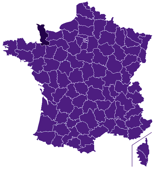Fibre optique Manche