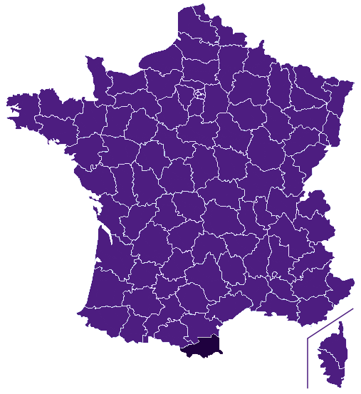 Fibre optique Pyrénées-Orientales