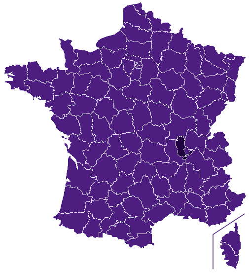 Fibre optique Rhône