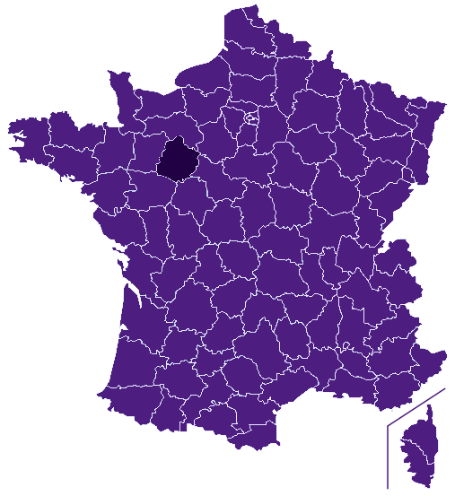 Fibre optique Sarthe
