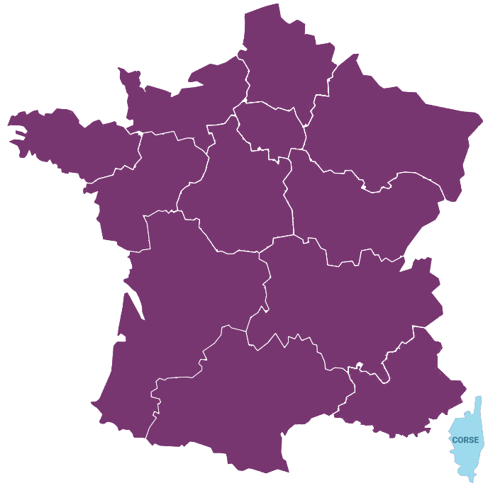 Fibre optique Corse