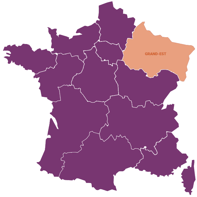 Fibre optique Grand Est